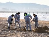  В Крыму планируют перерабатывать собранный на пляжах мазут 