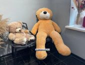 � ����� �� ������� ������ ��������� ���������� ����������� �������