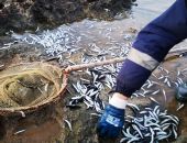 ������ ������ ����������� ������� �����: ������ ��� ���? 