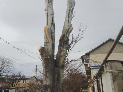 � �������� ������������ ��������  ������ �� ���������� ������