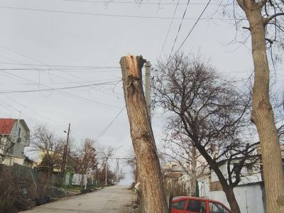 � �������� ������������ ��������  ������ �� ���������� ������