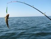 � ����� ������� �������� �� ��������� ���������� � ������ ���� ����