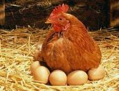 � ����� ��������� �������� ������������ ��� �� 15%  