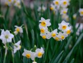 ����� ����: � ���� ������� ��������