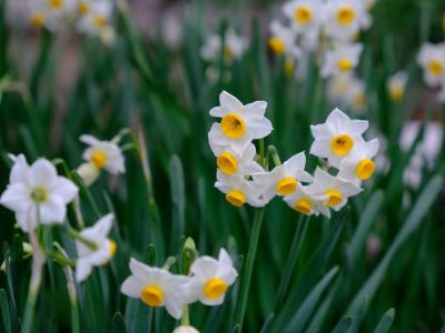 ����� ����: � ���� ������� ��������
