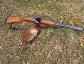 �� �������� ������ �������� �� ����� ������ ����� 