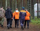 ���������� ������ ������ ���� ����� �������