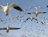 � ��� ��������� ������ ���� ��� ���� � �����