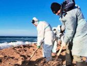 ���� �� ��-�� ������� ������ ������ ���������� ����� ��� ��������� �����