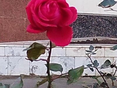 � ��������� ��������� ����� ��� ��������
