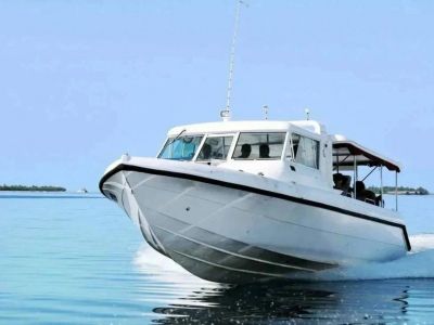 � ��������� �������� ������ ����������� �� ����������� ������������ ���������