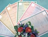 ���� �������� �����������