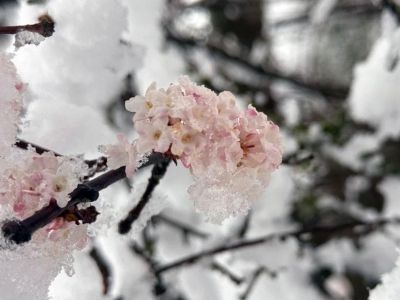 ���� �� ������: � ����������� ���� ������ ������� ����� ���� 