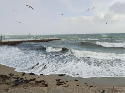 ��������: ���-�� ����� ����������