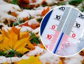 �� ��������� ������ ���� ������� ����������