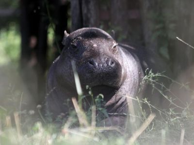 � ����� ������ ���� �� ��������� ������� �� �������� �������� 