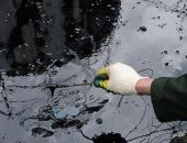 ������� ���� � ����� � ����� ������������� ����������