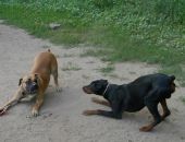 � ����� ��������� ��������� ������ �� ��������� �����