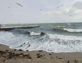 ������ �� 1 ����� � �����: ������ ���������� �� 8 ��������