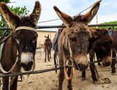 � ����� ������� ��������� ����� � �������   