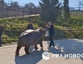 ������ ���� �������� ��������� ��������, ��� �����������