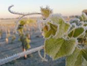 �������� � ���������� ������ �������� ����������� ��������� � �����