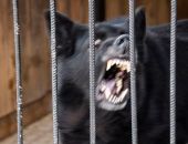 ��� ������ ��������� �������� ������� � �����