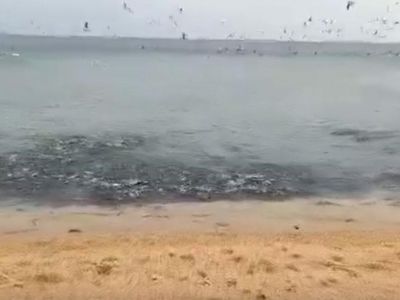 ������ ������� ��������� � ������� ��������