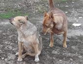 � �������� ������ ���� ��� �������� ����� 