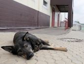 ��������� �������� � �����: ��� ���������� ������ �������� 