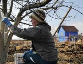 � ����� ����� ���������� �������� ������: ��� ����� �����