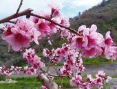  � ����� ������ ����� ������ �������