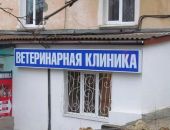 � ������������ ������� ����������� ��������� ��������