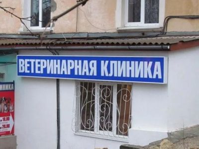 � ������������ ������� ����������� ��������� ��������