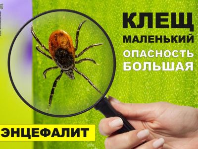 � �����  �� ���������� ������� ������
