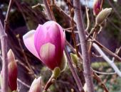 �� ����� ������ ����� ������� ����� �������� ��������