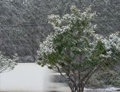 ��������� ����� � ������ ����������� ������ � ���� �� ��������� ������