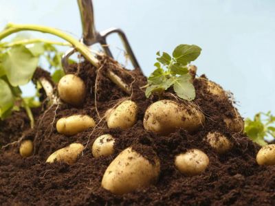 � ����� �� ���������� ��������� � ������ �������