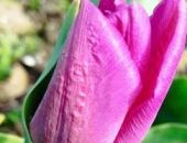 � ����� �������� ���� ������ ������ ������� ��������� 2025� 