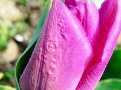 � ����� �������� ���� ������ ������ ������� ��������� 2025� 