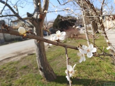 ��������: �������� �����