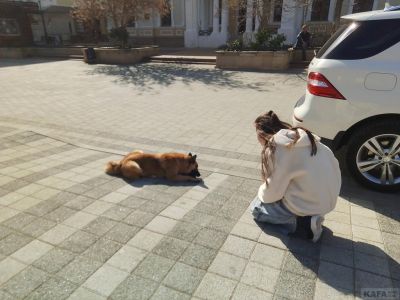 ��������: �������� �����