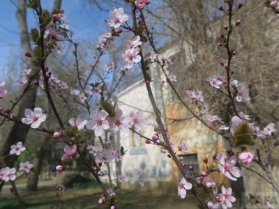 ��������: �������� �����