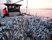 ����� ���� � ������ ���� �����������������