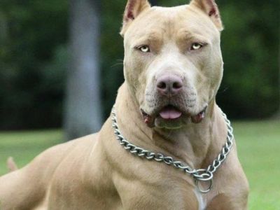 � ����� ���������� ���������� ���������� ����� ���������� ����� 