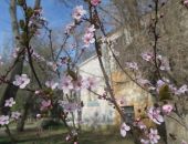 ����� ������������ � ����