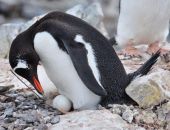  ��������� � ����������� ������� ������ ��������� � �����