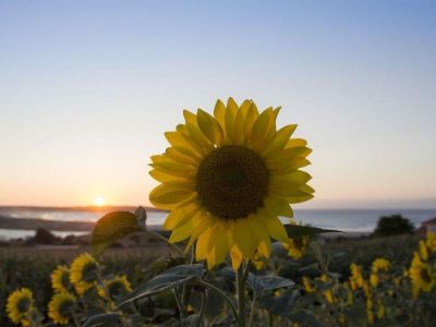 � ����� ���������  ��� ������������� ������ �����