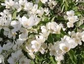  ��������� �� �������� ������� ���������� ���������?