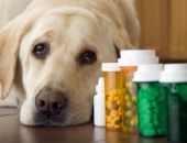 � ����� ������� ����� 170 ������, ��������� ��������� ������������� �����������